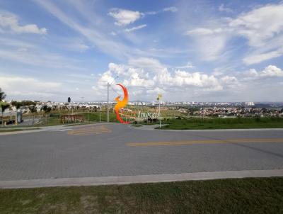 imagem-miniatura